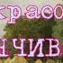 Некрасов Николай ЗАСТЕНЧИВОСТЬ Читает Лев Литвинов слушать онлайн