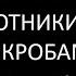 ОХОТНИКИ ЗА МИКРОБАМИ Поль де Крюи Глава 2 СПАЛЛАНЦАНИ У микробов должны быть родители АУДИОКНИГА