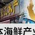 日本排放核废水中国暂停其水产品进口 日本海鲜产业造成打击 SBS中文