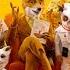 Everything GREAT About Fantastic Mr Fox