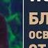 Пол Трипп Благодать освобождающая от глупости Проповедь