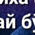 СОЛИХА АЁЛ КАНДАЙ БУЛАДИ АБДУЛЛОХ ДОМЛА абдуллохдомла