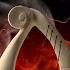 HOLY GHOST BACKING PROPHETIC HARP WARFARE INSTRUMENTAL DON MOEN INTENSE HARP WORSHIP