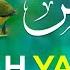 Surah Yasin Yaseen With Urdu Translation Quran Tilawat Beautiful Voice Hindi Tarjuma