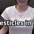 Eimi Fukada The Most Crazy And Wildest Things Eimi Has Done For Her JA Videos ENG Subs