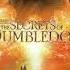 Fantastic Beasts The Secrets Of Dumbledore Soundtrack He S Lying To You James Newton Howard