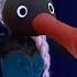 Let It Go Noot Noot Remix Full Version