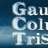 Gaumont Columbia Tristar Films Logo 2004 2007 Full And HD Version Combined