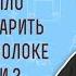 Почему было запрещено варить козлёнка в молоке его матери Исх 23 19 Протоиерей Олег Стеняев