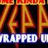 KARAOKE DEF LEPPARD PHOTOGRAPH