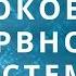 Аутотренинг для успокоения нервной системы