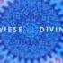 Klaus Wiese Divine Orbit Full Album