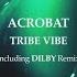 Acrobat Tribe Vibe Dilby Remix Extended 2024 Deep House SoundFocus