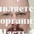 Алкоголь и стресс Почему частое употребление алкоголя является стрессом для организма Часть 2