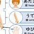 BODY PARTS In JAPANESE Advanced Level Vocabulary And Quiz 体の部分の名前