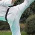 How To ROUNDHOUSE KICK Mawashi Geri Martial Arts Tutorial