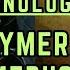 Warhammer 40k Liber Xenologis Khymerae Medusae Explained