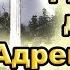 Диск для Адреналина на АТП ОП 2 1