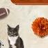 Cat Games Harvest Time Fun Thanksgiving Turkeys And Autumn Adventures Video For Cats