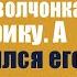 Волчица отдала своего единственного умирающего волчонка этому старику А едва он взялся его лечить