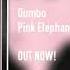 Dumbo Pink Elephants On Parade Ed Ryan Remix