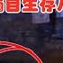 出生僅一天遭遺棄 棄嬰依靠雨水生存8天8夜 6個令人難以置信的奇怪影片 午夜 MiDnight