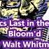 When Lilacs Last In The Dooryard Bloom D By Walt Whitman Read By Clouded Jester