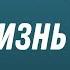 Почему нас БЬЁТ ЖИЗНЬ по голове О Г Торсунов Смотрите без рекламы