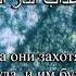 32 Сура ас Саджда Земной поклон Абдуллах Хумейд