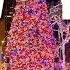 New York City LIVE Fox News All American Christmas Tree 2024 Rainy Manhattan November 22 2024