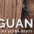 Iguana Ultra Beats Long Version