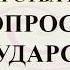 Баскова А В ТГП ТГП все вопросы про государство за 20 минут