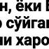 Бенамоз кофир сўйган гўштлар халолми Абдуллоҳ Зуфар Ҳафизаҳуллоҳ