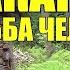 СУДЬБА МАКАРЫЧ ОТШЕЛЬНИК в ТАЙГЕ КАТОРГА САХАЛИН ПОБЕГ из ТЮРЬМЫ ИСТОРИИ из ЖИЗНИ СЕРИАЛ ВСЕ СЕРИИ