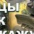 Этого вам не расскажут при покупке газонокосилки Опыт 5 лет эксплуатации самоходной косилки Чемпион