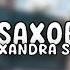 Alexandra Stan Mr Saxobeat Tech House Remix