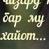 Саши Заифи Ту ку чизард найади бар му хайот