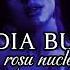 Lidia Buble Rosu Nuclear Speed Up