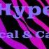 Hype Dizzee Rascal Calvin Harris Lyrics Video