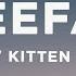 Rainbow Kitten Surprise It S Called Freefall Sped Up Lyrics