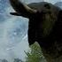 Far Cry 4 Elephant Nature Documentary