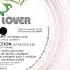 LATIN LOVER LASER LIGHT 87 REMIX 1987 2014