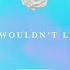 Steerner I Wouldn T Lie Audio