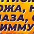 Астаксантин самый мощный антиоксидант кожа нервы глаза сосуды и иммунитет Самый полный обзор