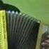 Accordion Blues