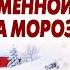 Рожай под кустом бомжиха Акушер выгнал беременную на мороз А утром ужаснулся История Рассказ