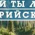 Марийский край моя заветная земля мужской вокал