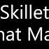 Skillet All That Matters Lyrics