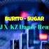 Burito Sugar DJ X KZ Dance Remix