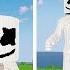 NOOB Vs PRO Vs HACKER Vs GOD DJ MARSHMELLO In Minecraft 4K